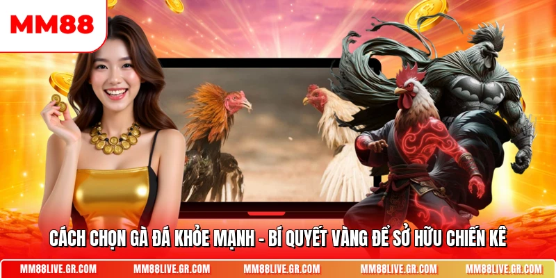 Cach Chon Ga Da Khoe Manh Bi Quyet Vang De So Huu Chien Ke