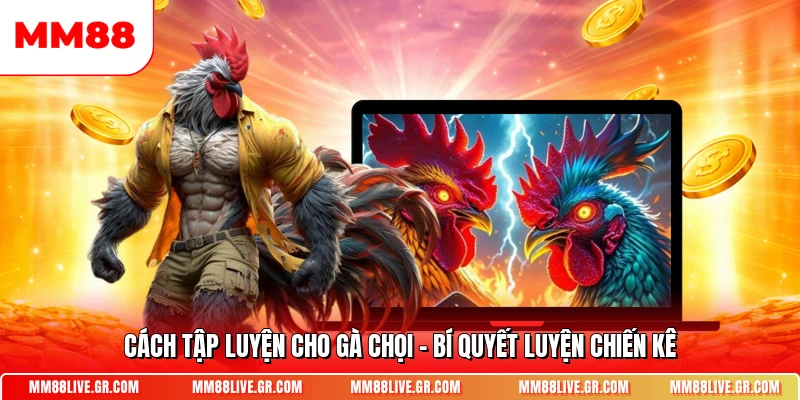 Cach Tap Luyen Cho Ga Choi Bi Quyet Luyen Chien Ke