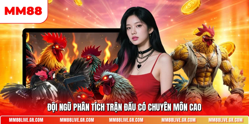 Đội ngũ phân tích trận đấu có chuyên môn cao