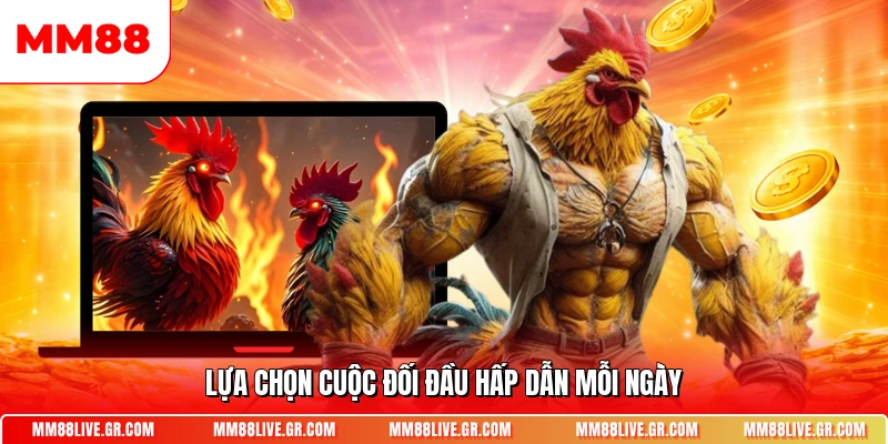 Lựa chọn cuộc đối đầu hấp dẫn mỗi ngày