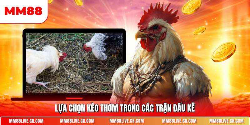 Lựa chọn kèo thơm trong các trận đấu kê