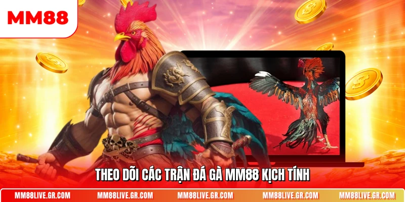 Theo dõi các trận đá gà MM88 kịch tính