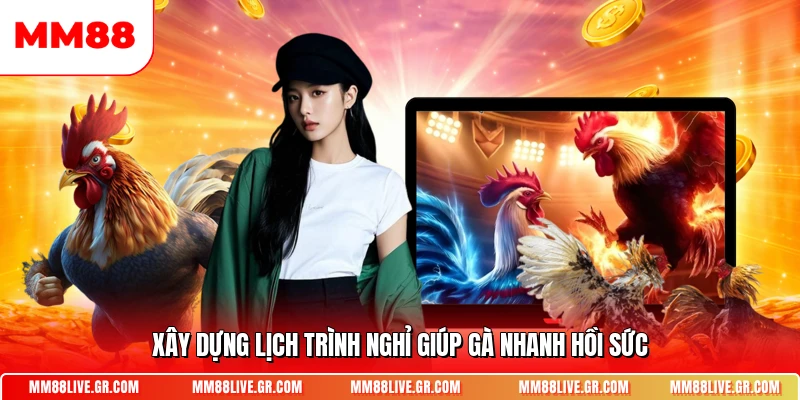 Xây dựng lịch trình nghỉ giúp gà nhanh hồi sức